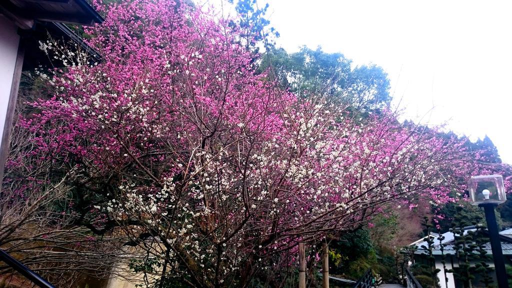 Beppu Showaen Экстерьер фото